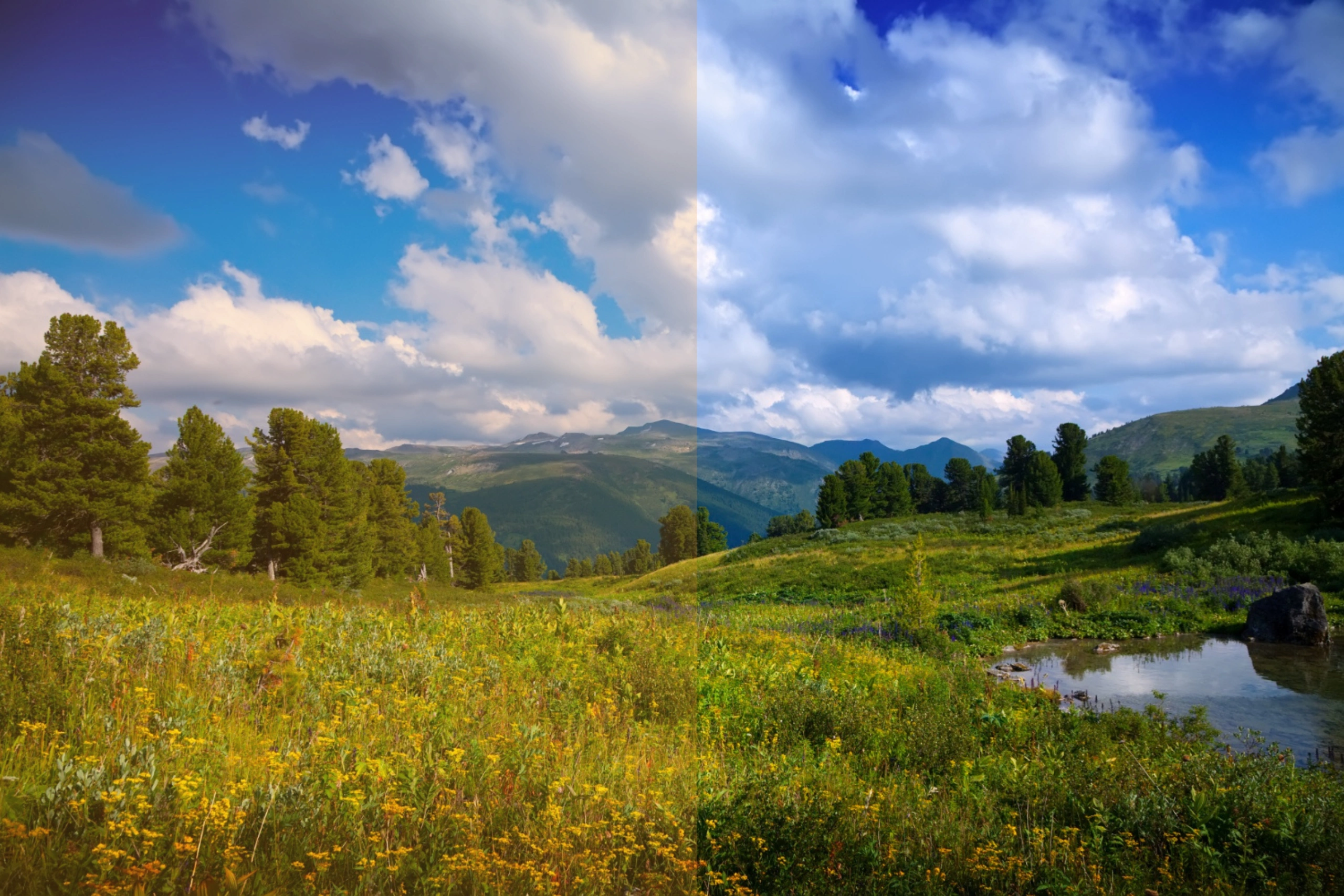 AI-Assisted Color Grading: Yay or Nay?